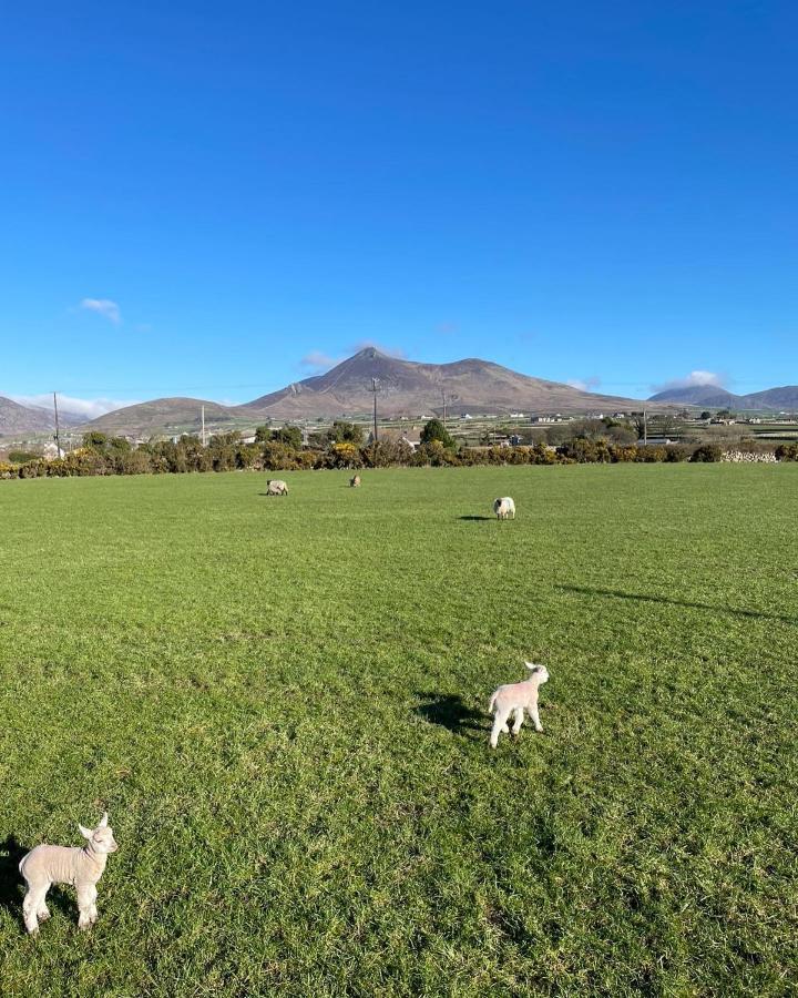 Quintenvale House Kilkeel Bagian luar foto